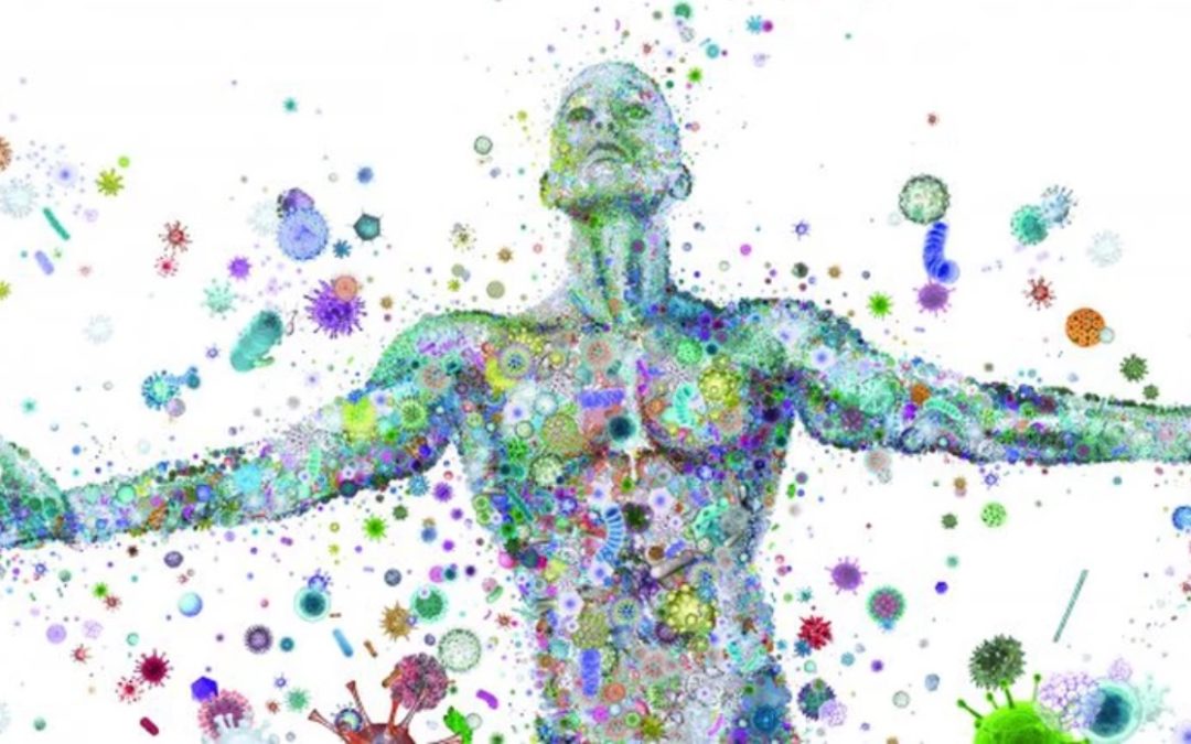 The Human Microbiome | Interesting Facts