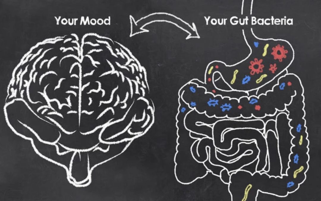 CONNECTION BETWEEN GUT HEALTH, MOOD AND EMOTIONS