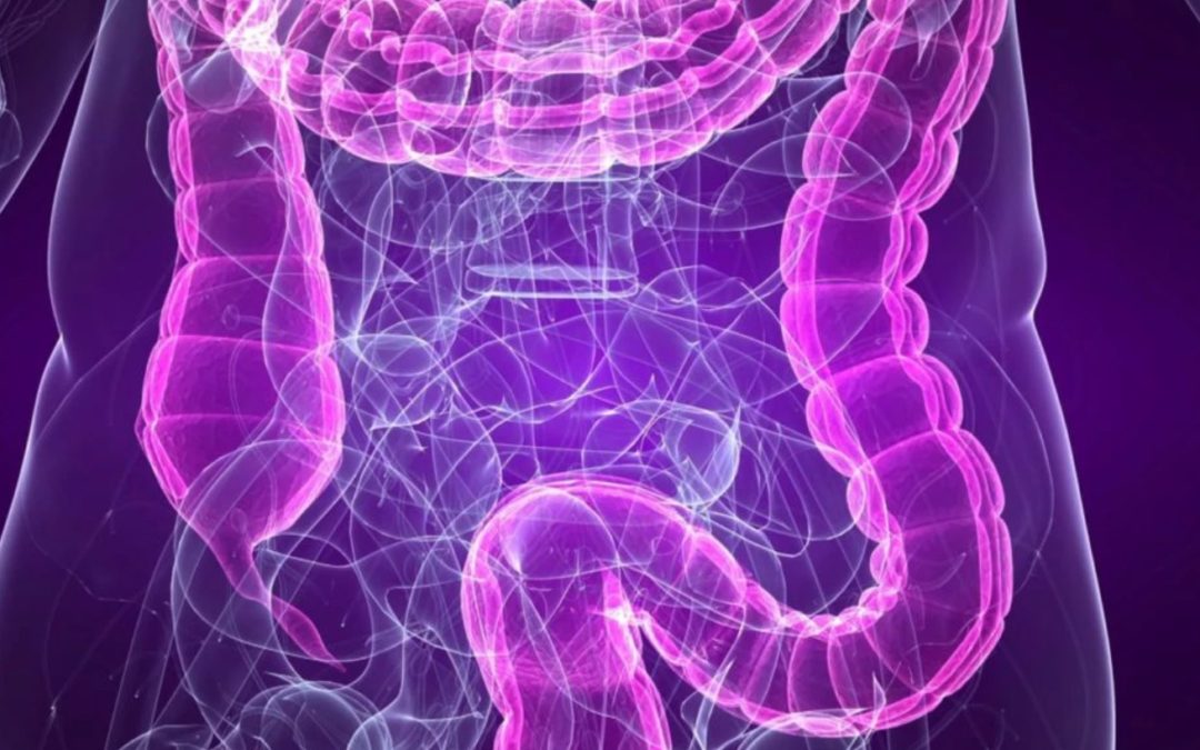 Do you have a LEAKY GUT but don’t know it?